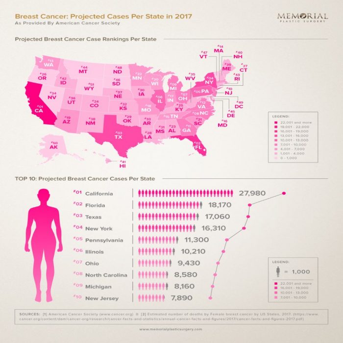 Breast Cancer Projected Cases Per State 2017