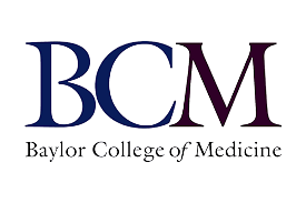 download (8)-Photoroom